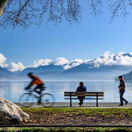 Les Mouettes Du Lac N2 - Grand Studio 500 M From Lake Annecy Exterior photo