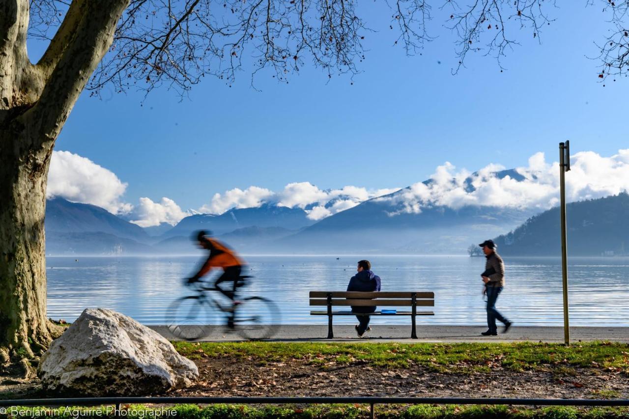 Les Mouettes Du Lac N2 - Grand Studio 500 M From Lake Annecy Exterior photo