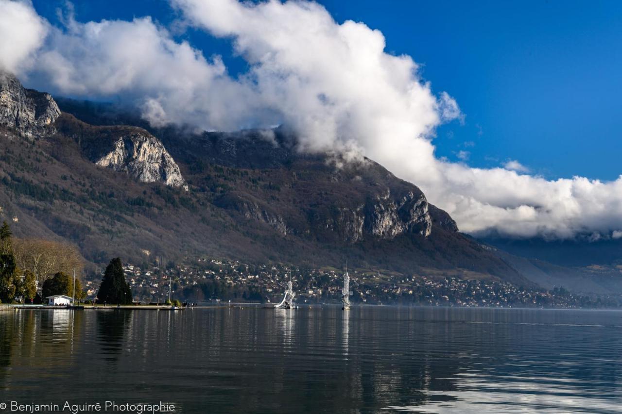 Les Mouettes Du Lac N2 - Grand Studio 500 M From Lake Annecy Exterior photo